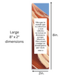 Load image into Gallery viewer, Spanish Christian 8X2inch Verses Bookmarks, Assorted Variety Pack Bookmarks