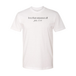 Load image into Gallery viewer, Love that surpasses all John 3:16 Shirt
