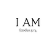 Load image into Gallery viewer, I AM Exodus 3:14 Shirt