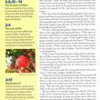 Load image into Gallery viewer, Personalized NIV Kids' Visual Study Bible, Leathersoft, Bronze