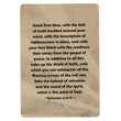Load image into Gallery viewer, Go Fish! The Armor of God Card Game