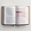 Load image into Gallery viewer, Personalized NIV Life Application Study Bible Third Edition Brown Leathersoft Red Letter Edition