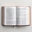 Load image into Gallery viewer, Personalized NIV Life Application Study Bible Third Edition Brown Leathersoft Red Letter Edition