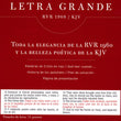 Load image into Gallery viewer, Personalized RVR/KJV Bilingual Indexed Imitation Leather