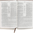 Load image into Gallery viewer, Personalized RVR 1960 Biblia de Estudio Scofield Tamano Personal Chocolate Oscuro Símil Piel (SPANISH)