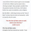 Load image into Gallery viewer, God's Christmas Gift To You Tract (Pack of 25)