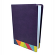 Load image into Gallery viewer, Personalized RVR 1960 Biblia de Estudio Arcoiris Rainbow Study Bible LeatherTouch (Spanish Edition)