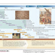 Load image into Gallery viewer, Kings & Prophets Time Line Pamphlet