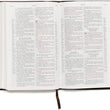 Load image into Gallery viewer, Personalized RVR 1960 Biblia de Estudio Scofield Tamano Personal Chocolate Oscuro Símil Piel (SPANISH)