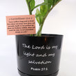 Load image into Gallery viewer, ZZ Plant in a Psalm 27 Black Nursery Pot