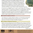Load image into Gallery viewer, ¿Por qué confiar en la Biblia? Folleto (Why Trust the Bible? Pamphlet)