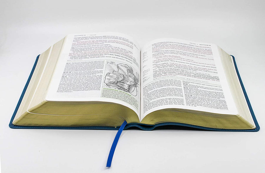 Personalized Tyndale NLT Life Application Large Print Study Bible Third Edition LeatherLike TealBlue