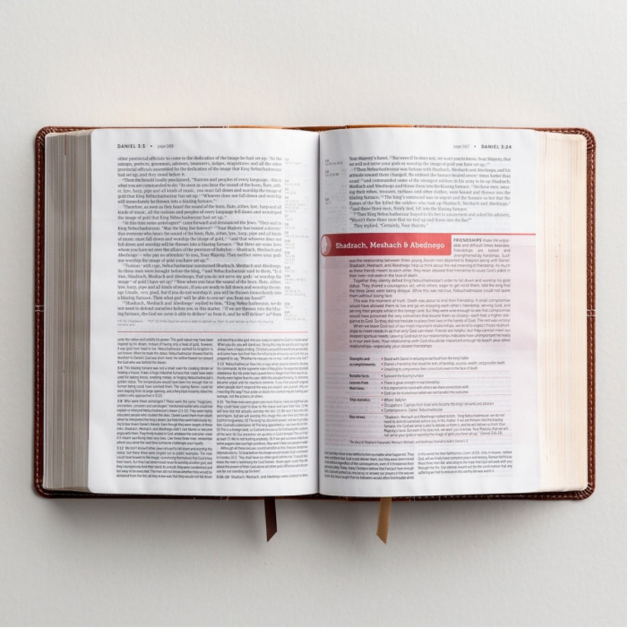 Personalized NIV Life Application Study Bible Third Edition Brown Leathersoft Red Letter Edition