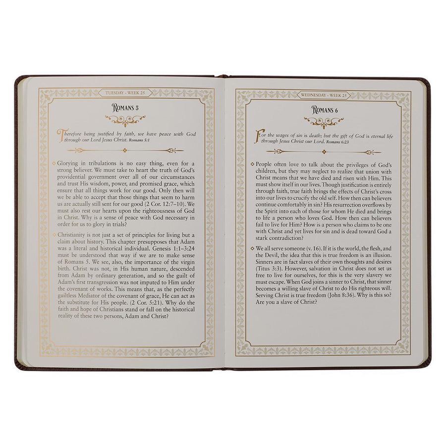 Large Print Edition Daily Devotions from the KJV Brown Faux Leather Devotional