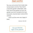 Load image into Gallery viewer, My Little Bible And Prayers - Illustrated By Diane Le Feyer
