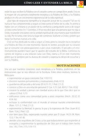 Guía Esencial de la Biblia (The Ultimate Bible Guide)