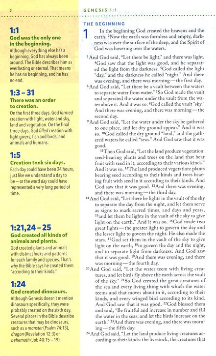 Personalized NIV Kids' Visual Study Bible, Leathersoft, Bronze