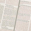 Load image into Gallery viewer, Personalized ESV Thinline Bible TruTone Chocolate/Blue Paisley Band
