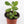 Load image into Gallery viewer, Jade Succulent Plant in &quot;Jesus Loves Me&quot; Planter
