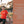 Load image into Gallery viewer, Only a Test Personalized Photo Poem
