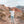 Load image into Gallery viewer, Psalm 118:24 Personalized Photo Verse
