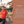 Load image into Gallery viewer, Thank You Personalized Photo Poem
