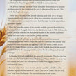 Load image into Gallery viewer, Feasts Of The Bible Pamphlet
