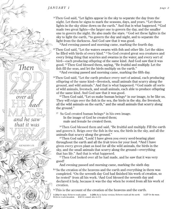 Personalized NLT The One Year Chronological Bible