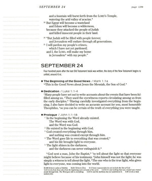 Personalized NLT The One Year Chronological Bible